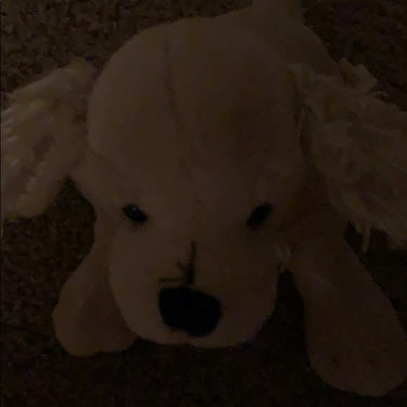 Meet your Posher, Maria - Picture 1 of 1